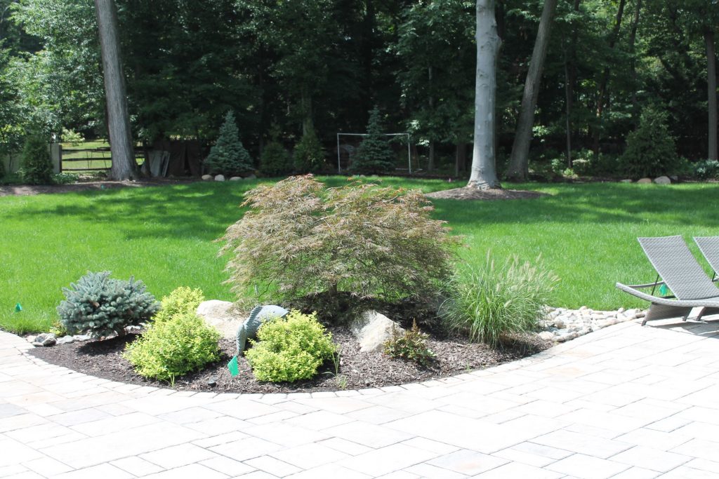 Landscape and Privacy Screen Design and Installation in Wyckoff NJ
