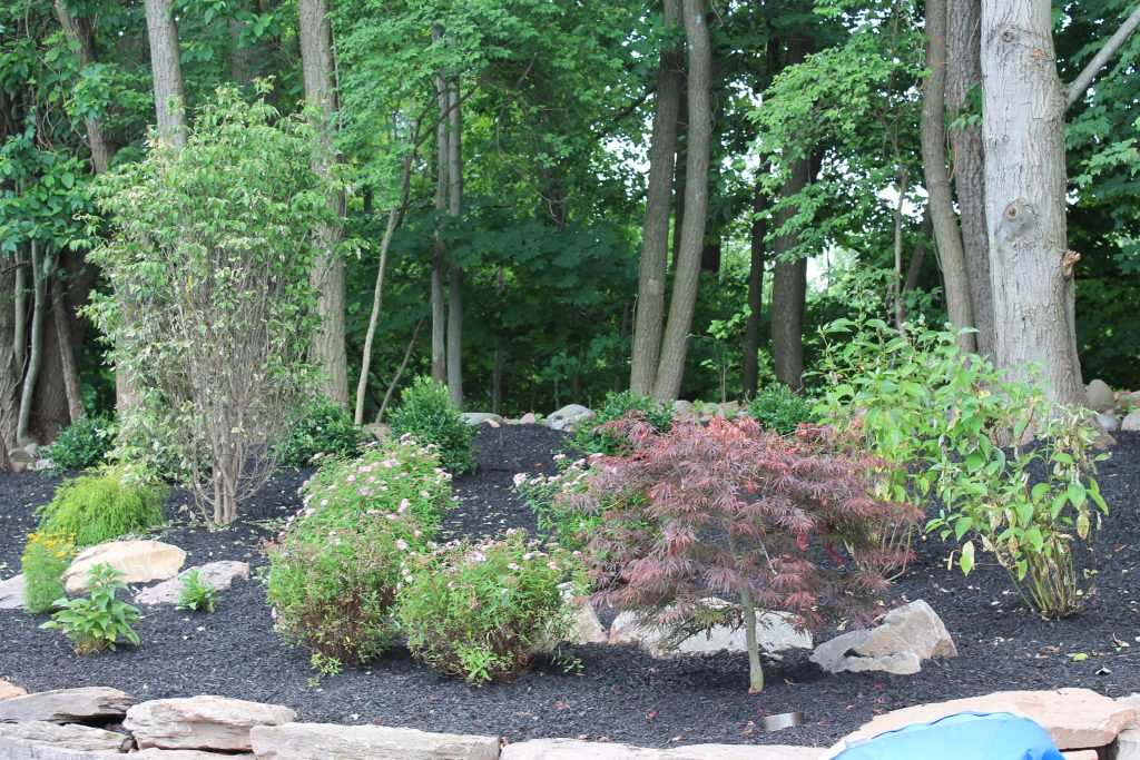 landscaping around pool