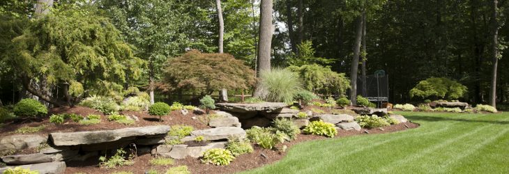 Main Image for Curti's Landscaping Should I Hire a Landscape Designer Page