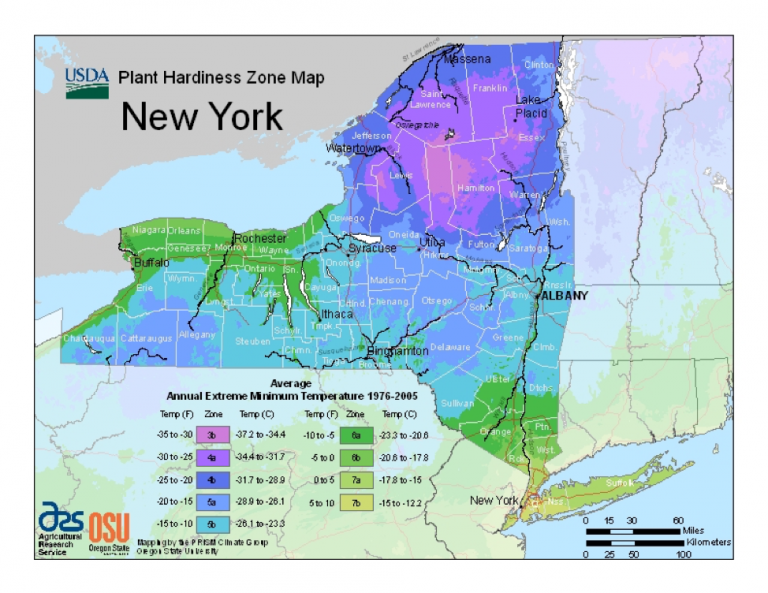 What Planting Zone is Rockland County NY?