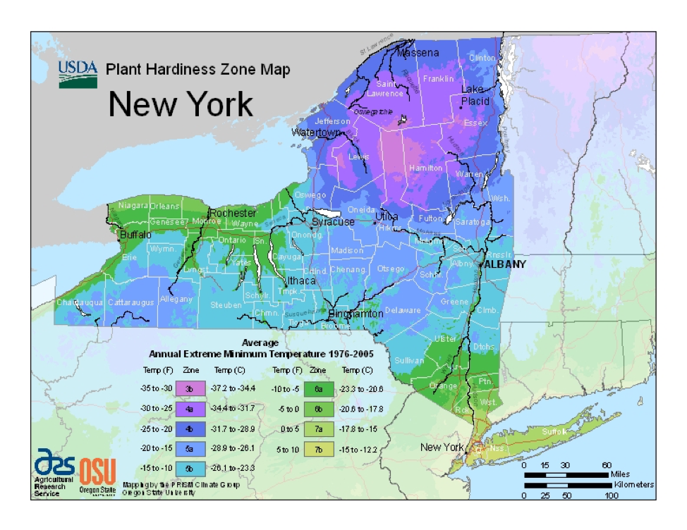 hardiness zone map for new york